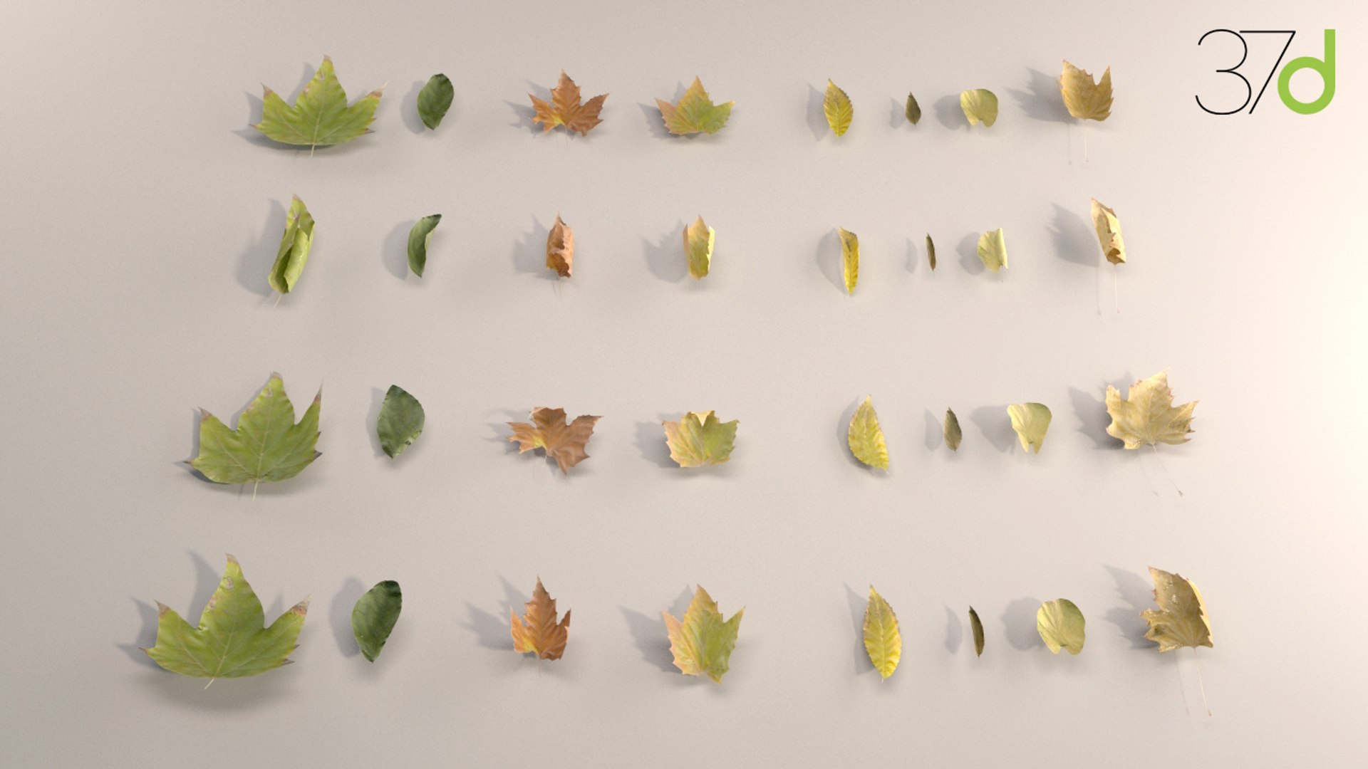 3ds fallen leaves photorealistic