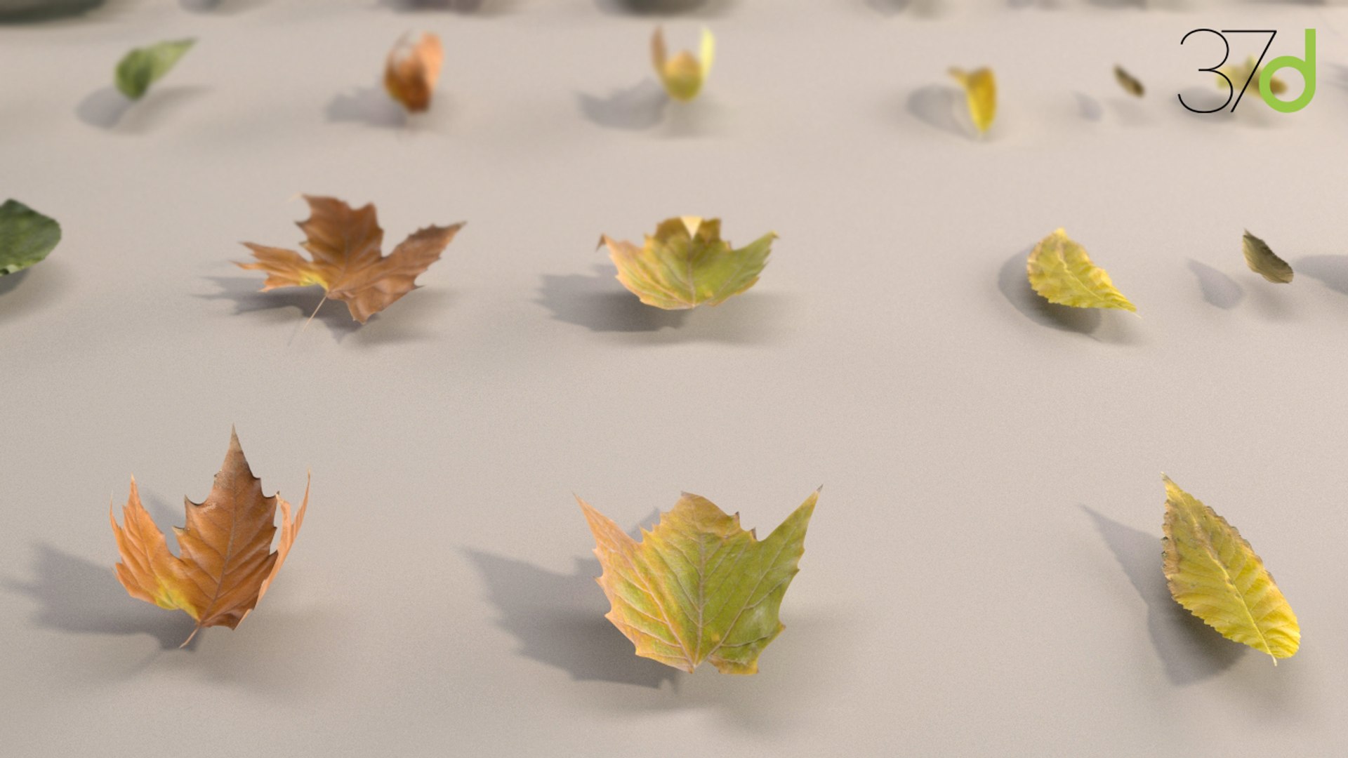 3ds fallen leaves photorealistic