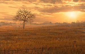 3D landscape meadow sunset model