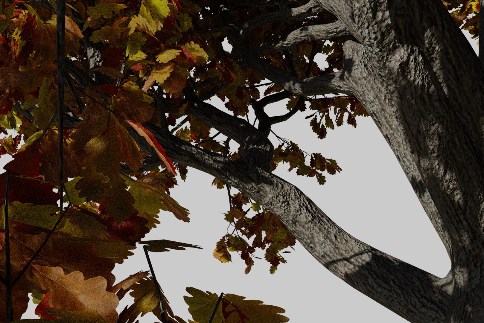 3D oak autumn 4 tree https://p.turbosquid.com/ts-thumb/MM/rr3LXd/4aiUhBOj/render10/png/1550231171/1920x1080/fit_q87/b1bcd4e50a59624a024d48b3f2014951297874a7/render10.jpg