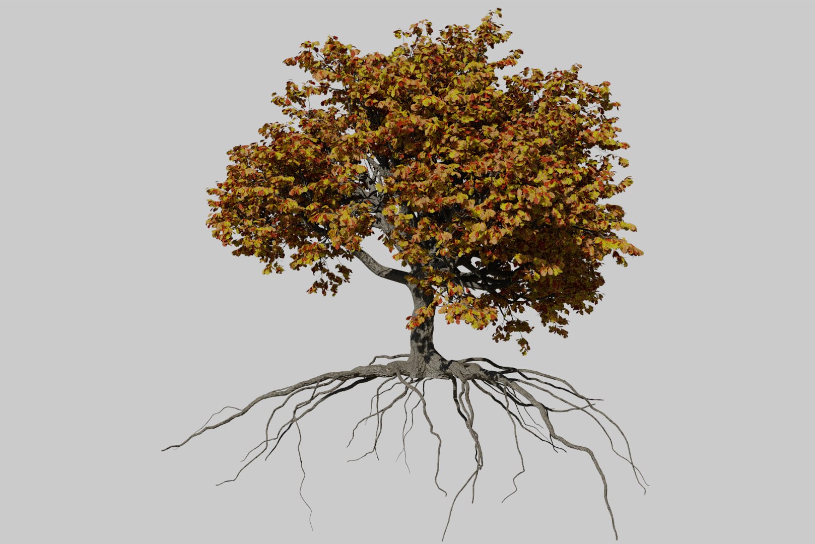 3D oak autumn 4 tree https://p.turbosquid.com/ts-thumb/MM/rr3LXd/5UiCdf9K/render1/png/1550231171/1920x1080/fit_q87/0b0cd629e0e206f82e880b8f796c5d2f951d1433/render1.jpg