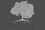 Oak Autumn 4