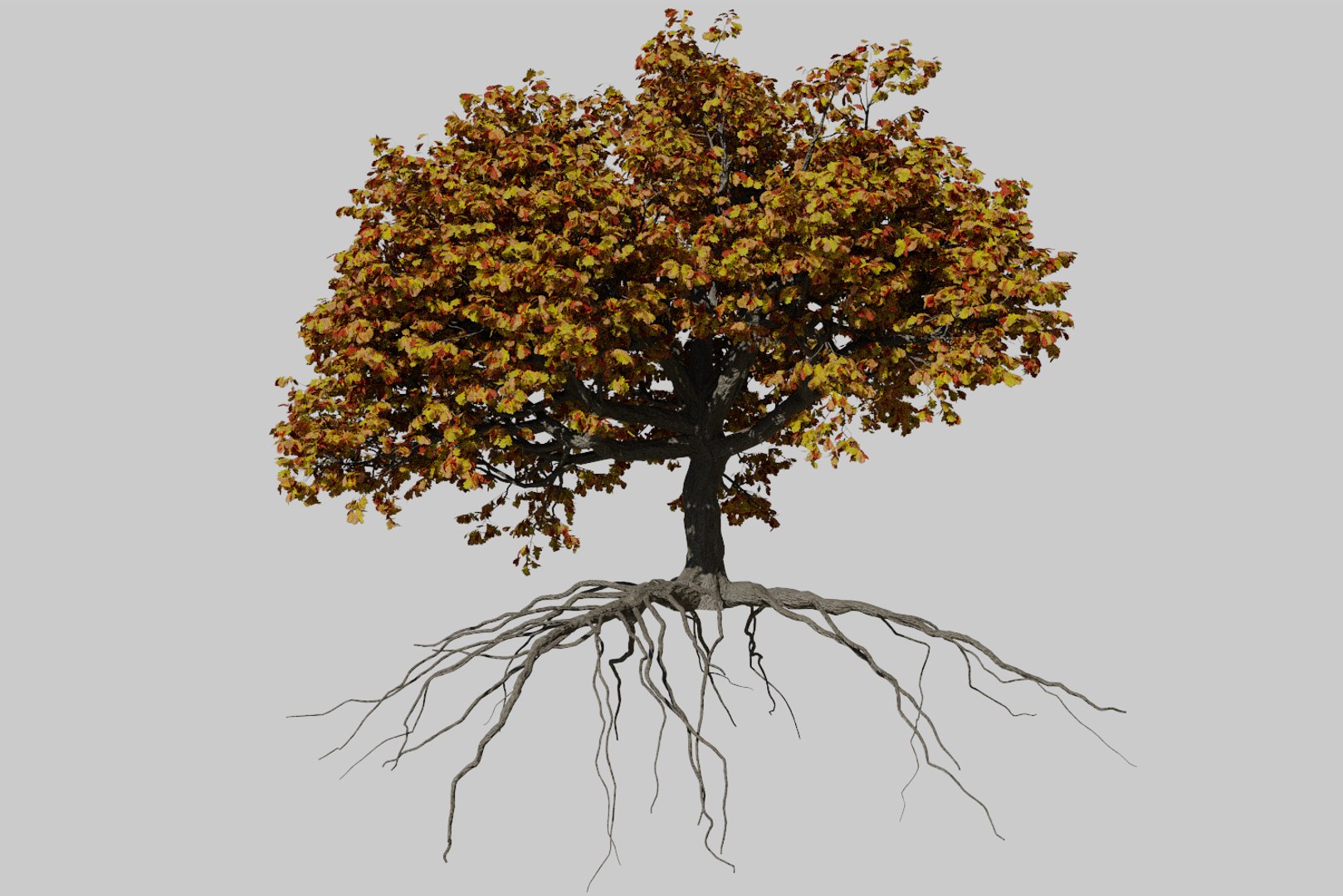 3D oak autumn 4 tree https://p.turbosquid.com/ts-thumb/MM/rr3LXd/An6nIvyE/render4/png/1550231171/1920x1080/fit_q87/0abe2534a60c8f1350f162a8f24eb7b5d54932d7/render4.jpg
