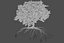 Oak Autumn 4