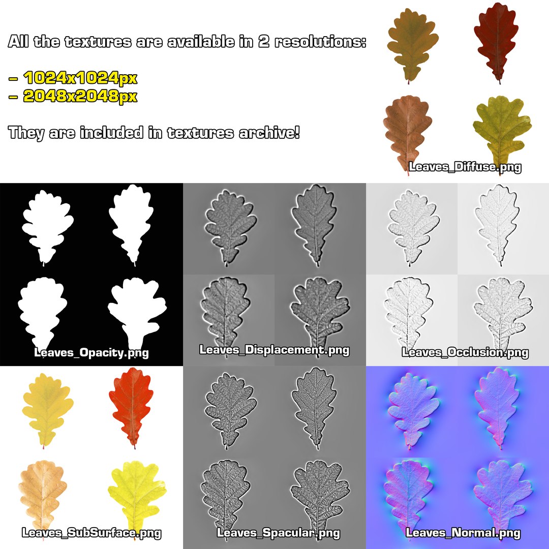 3D oak autumn 4 tree https://p.turbosquid.com/ts-thumb/MM/rr3LXd/Fm7yswMk/textures_2/png/1550231172/1920x1080/fit_q87/848a20ed20e3bfced5d74d7f5b4512c82d350b9a/textures_2.jpg