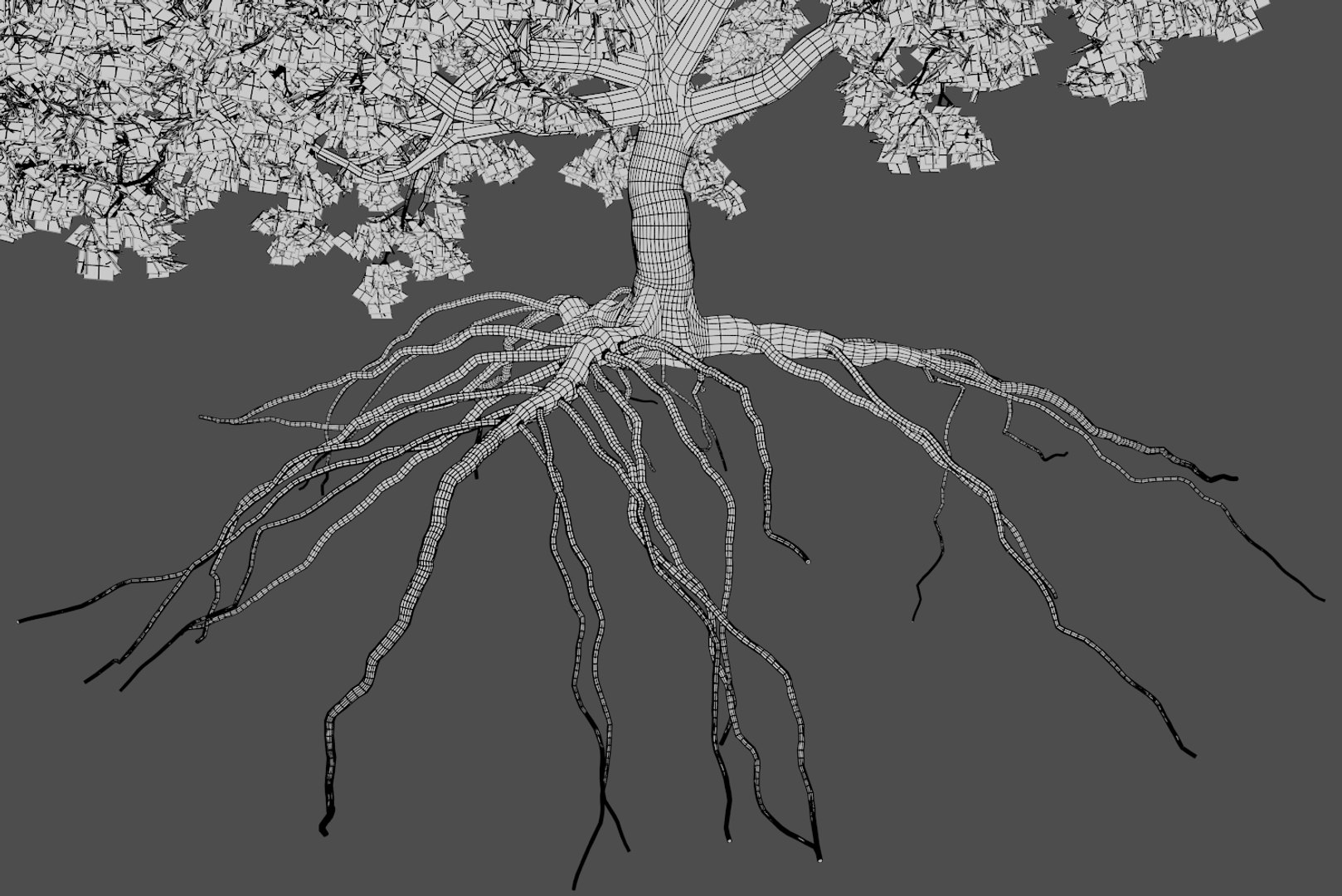 3D oak autumn 4 tree https://p.turbosquid.com/ts-thumb/MM/rr3LXd/UbZYiQZm/wire6/png/1550231172/1920x1080/fit_q87/b4b9bf9ef80b16f4ba5d875bfc989c2b357d5082/wire6.jpg
