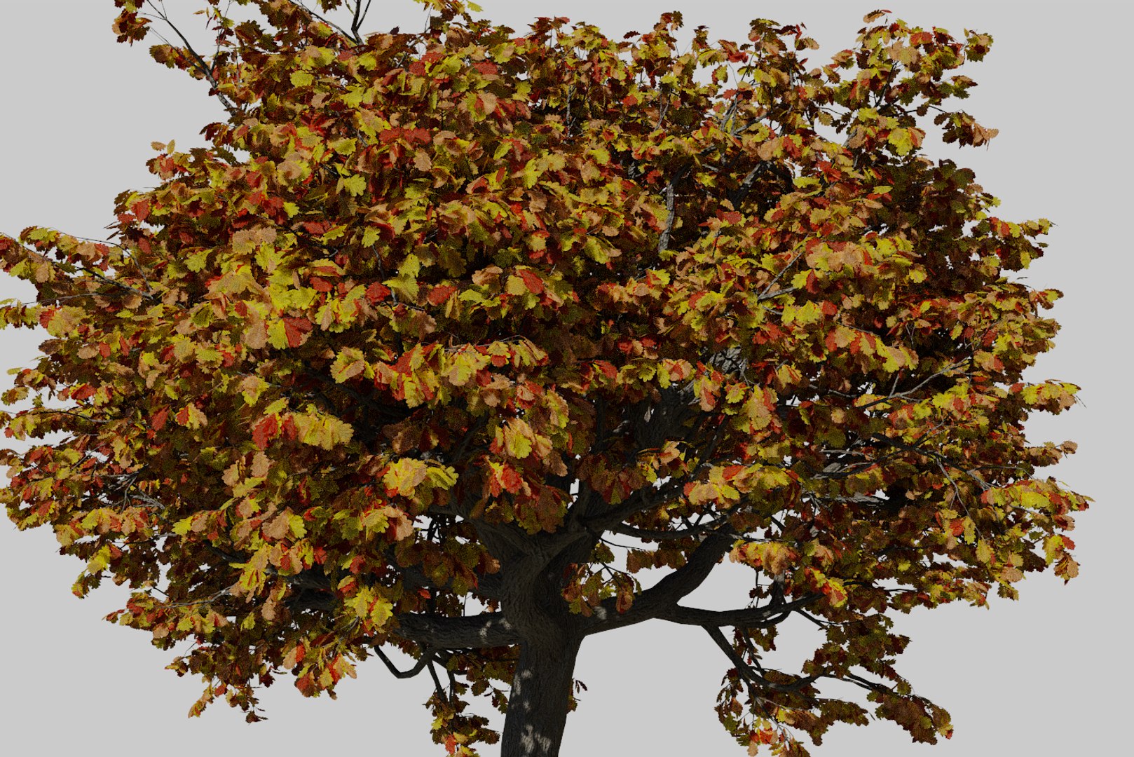 3D oak autumn 4 tree https://p.turbosquid.com/ts-thumb/MM/rr3LXd/adLUMnyM/render9/png/1550231171/1920x1080/fit_q87/2873454bb237a88abec2d9154909118ff0d0bffb/render9.jpg
