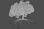 Oak Autumn 4