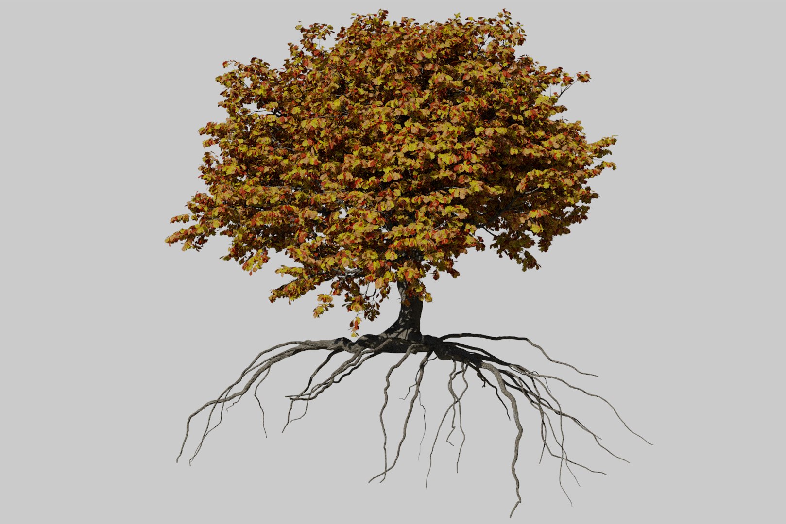 3D oak autumn 4 tree https://p.turbosquid.com/ts-thumb/MM/rr3LXd/lcvA270c/render5/png/1550231171/1920x1080/fit_q87/83dafaaee4675cedcfedffcc5c5a7827a5c64b37/render5.jpg
