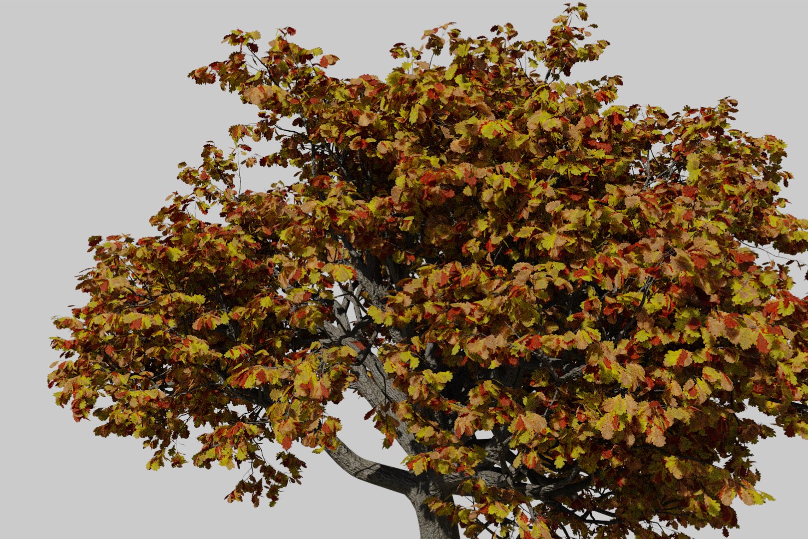 3D oak autumn 4 tree https://p.turbosquid.com/ts-thumb/MM/rr3LXd/yCL09q1H/render8/png/1550231171/1920x1080/fit_q87/95e6efec1440408ce29338aa5d9a1bf9f36dff3a/render8.jpg