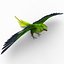 Parakeet