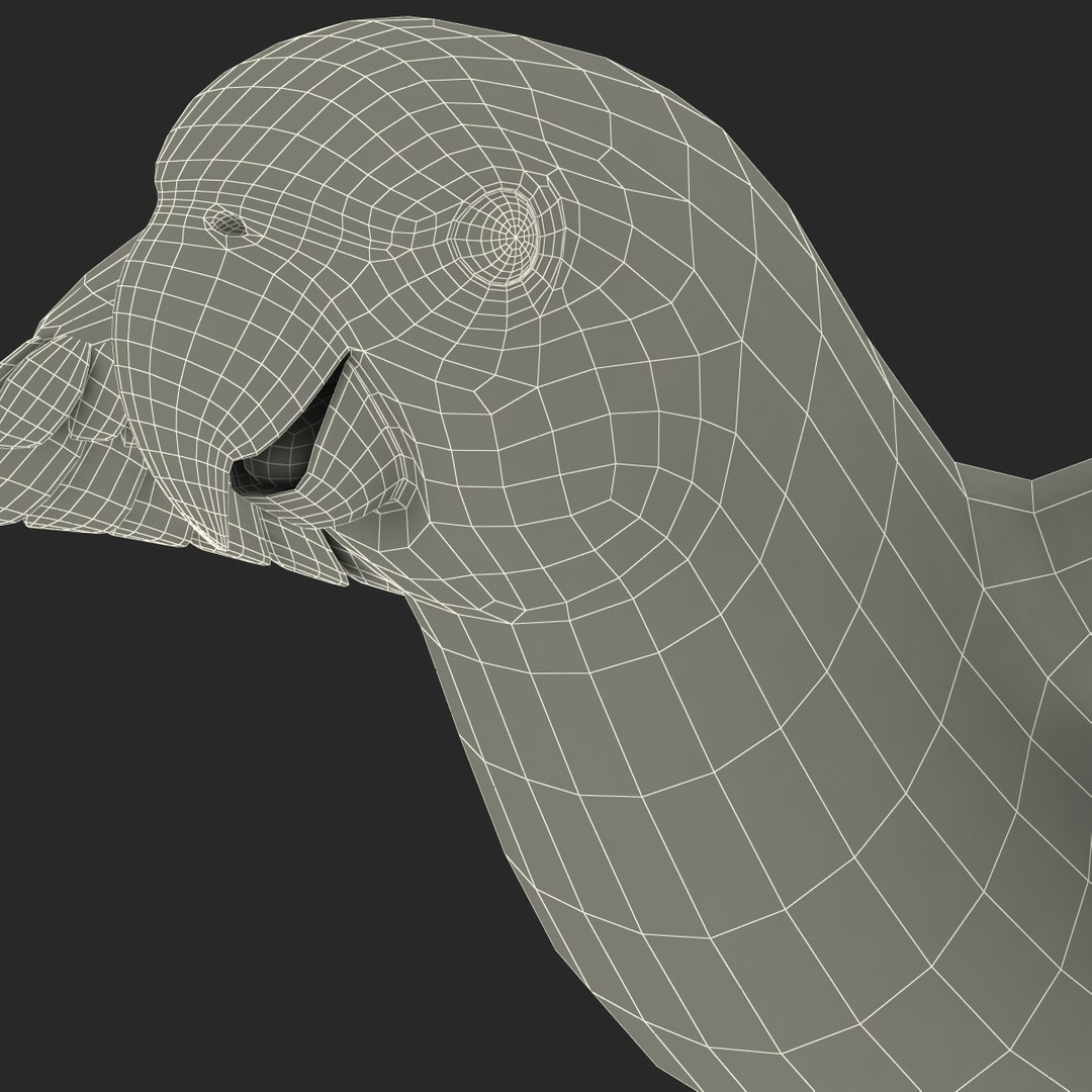 3d model para https://p.turbosquid.com/ts-thumb/MM/vYMbmr/1S8qq3Kp/parakeet_24/jpg/1407181638/1920x1080/fit_q87/0c6cd22017a22e8281db6c538110b42366a9cb05/parakeet_24.jpg