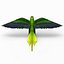 Parakeet