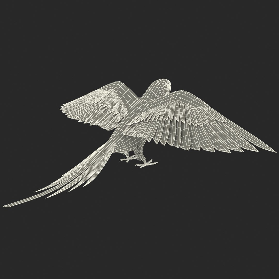 3d model para https://p.turbosquid.com/ts-thumb/MM/vYMbmr/EErgAmhj/parakeet_23/jpg/1407181636/1920x1080/fit_q87/d66192922d81bac213e7017301582143a4717c48/parakeet_23.jpg