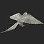 Parakeet