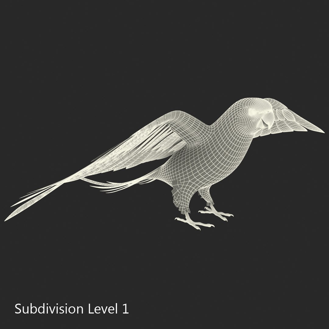 3d model para https://p.turbosquid.com/ts-thumb/MM/vYMbmr/IfLUrtq2/parakeet_11/jpg/1407181613/1920x1080/fit_q87/9b639c421f3c862a226793974386339e436ecf4a/parakeet_11.jpg