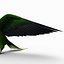Parakeet