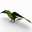 Parakeet