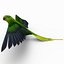 Parakeet