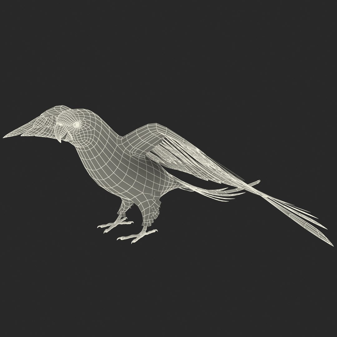3d model para https://p.turbosquid.com/ts-thumb/MM/vYMbmr/i6ZlUd23/parakeet_22/jpg/1407181655/1920x1080/fit_q87/440167e8c7cce68578eb7690285927e59e784ba4/parakeet_22.jpg