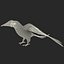 Parakeet