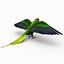 Parakeet