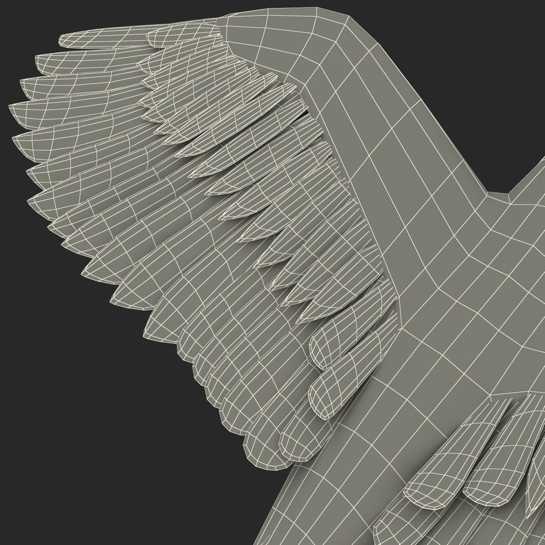 3d model para https://p.turbosquid.com/ts-thumb/MM/vYMbmr/lUWx67cc/parakeet_27/jpg/1407181665/1920x1080/fit_q87/98986bd3a8b42fe148bebffeb1222e417bfd73bd/parakeet_27.jpg