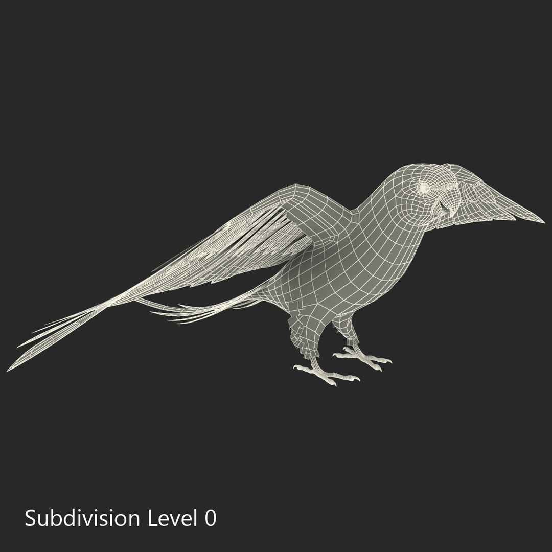 3d model para https://p.turbosquid.com/ts-thumb/MM/vYMbmr/wCHdtm2Y/parakeet_10/jpg/1407181632/1920x1080/fit_q87/e871b1ab702ff2b2a5bffc0f50d051de5a1d0e31/parakeet_10.jpg