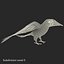 Parakeet