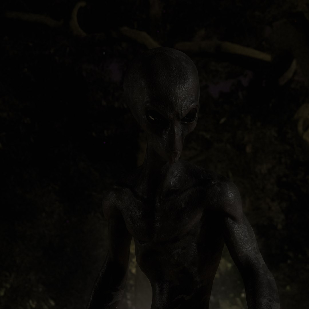 Grey Alien 3D model https://p.turbosquid.com/ts-thumb/MN/0Yu6sZ/0G/tbrender_003/png/1742680979/1920x1080/fit_q87/8e4cec8bdc50ccc9ab703703bd9b054be1c33f41/tbrender_003.jpg