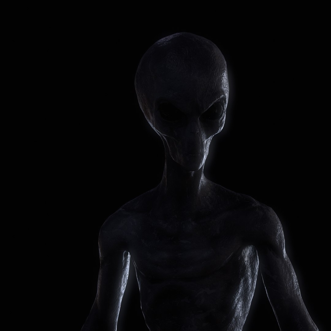 Grey Alien 3D model https://p.turbosquid.com/ts-thumb/MN/0Yu6sZ/AD/tbrender/png/1742679174/1920x1080/fit_q87/76f4ced9fbbc94041a21d4f3f12bca847110c6a8/tbrender.jpg