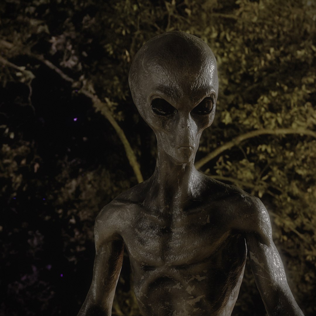 Grey Alien 3D model https://p.turbosquid.com/ts-thumb/MN/0Yu6sZ/nO/tbrender_002w/png/1742679180/1920x1080/fit_q87/fddff8f4548abc8460216e9fad04e20d4d961f70/tbrender_002w.jpg