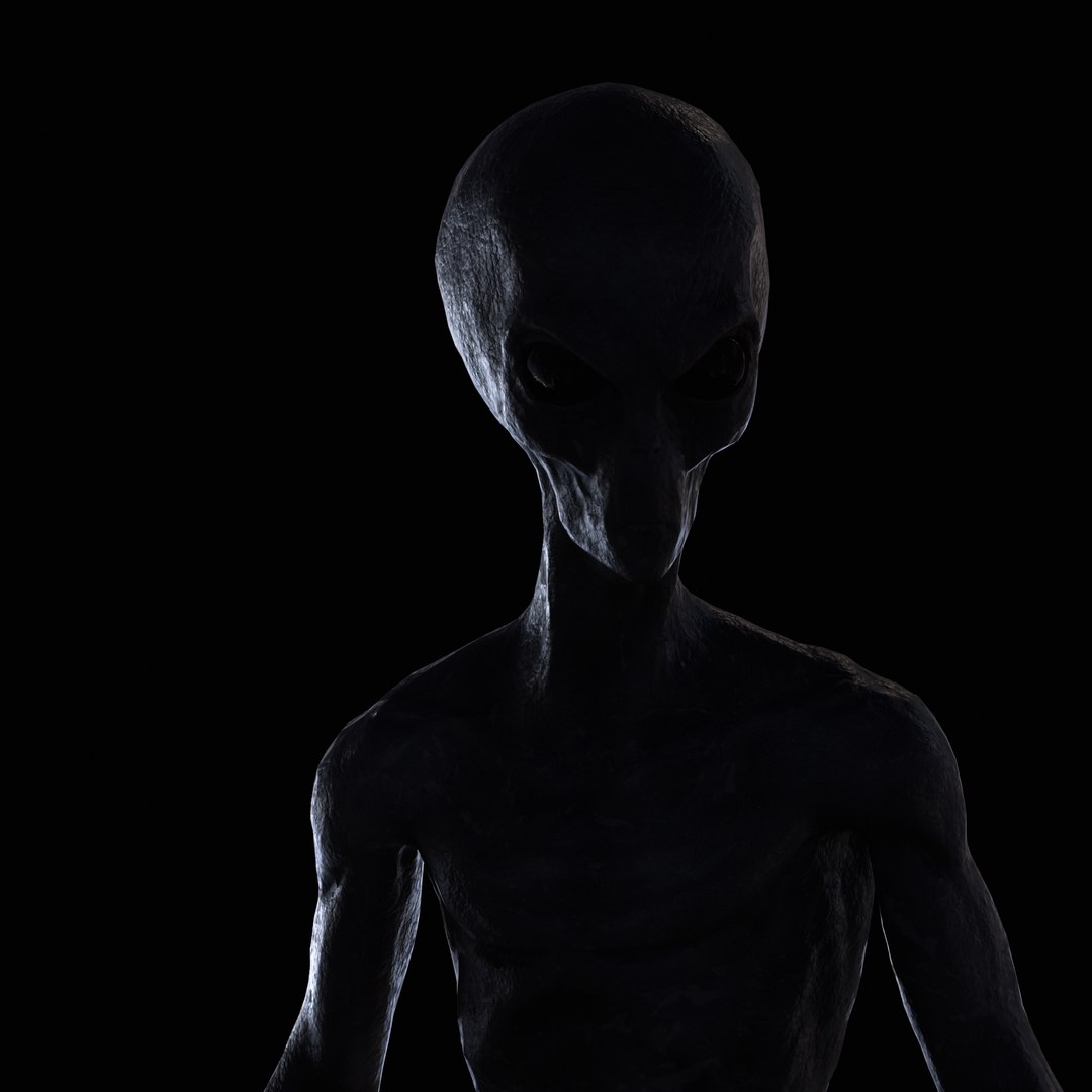 Grey Alien 3D model https://p.turbosquid.com/ts-thumb/MN/0Yu6sZ/z7/tbrender_001/png/1742679175/1920x1080/fit_q87/64a142ccc04182e9bdf8e13ddc748a5a6237711e/tbrender_001.jpg
