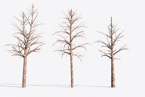 3D 3 Dead Trees Pack