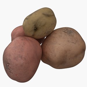 potato model
