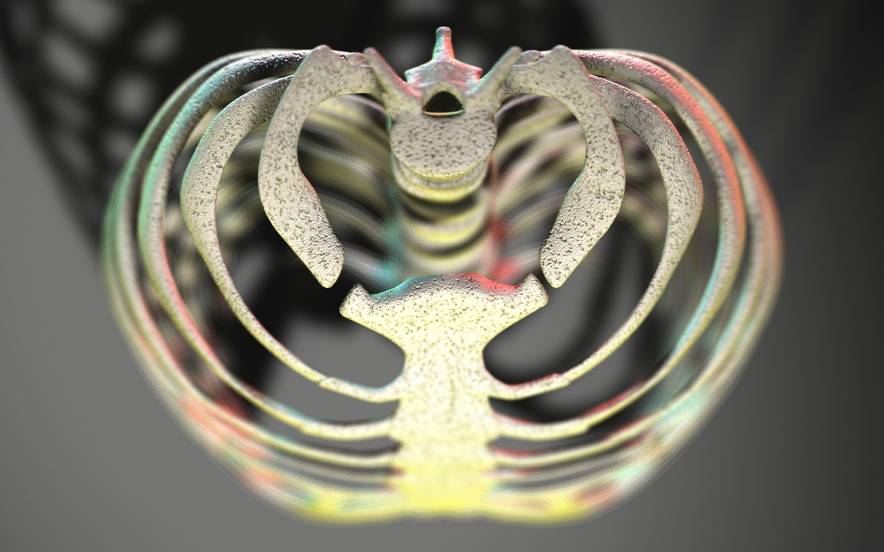 Rib Cage Scanline 3D - TurboSquid 1992498