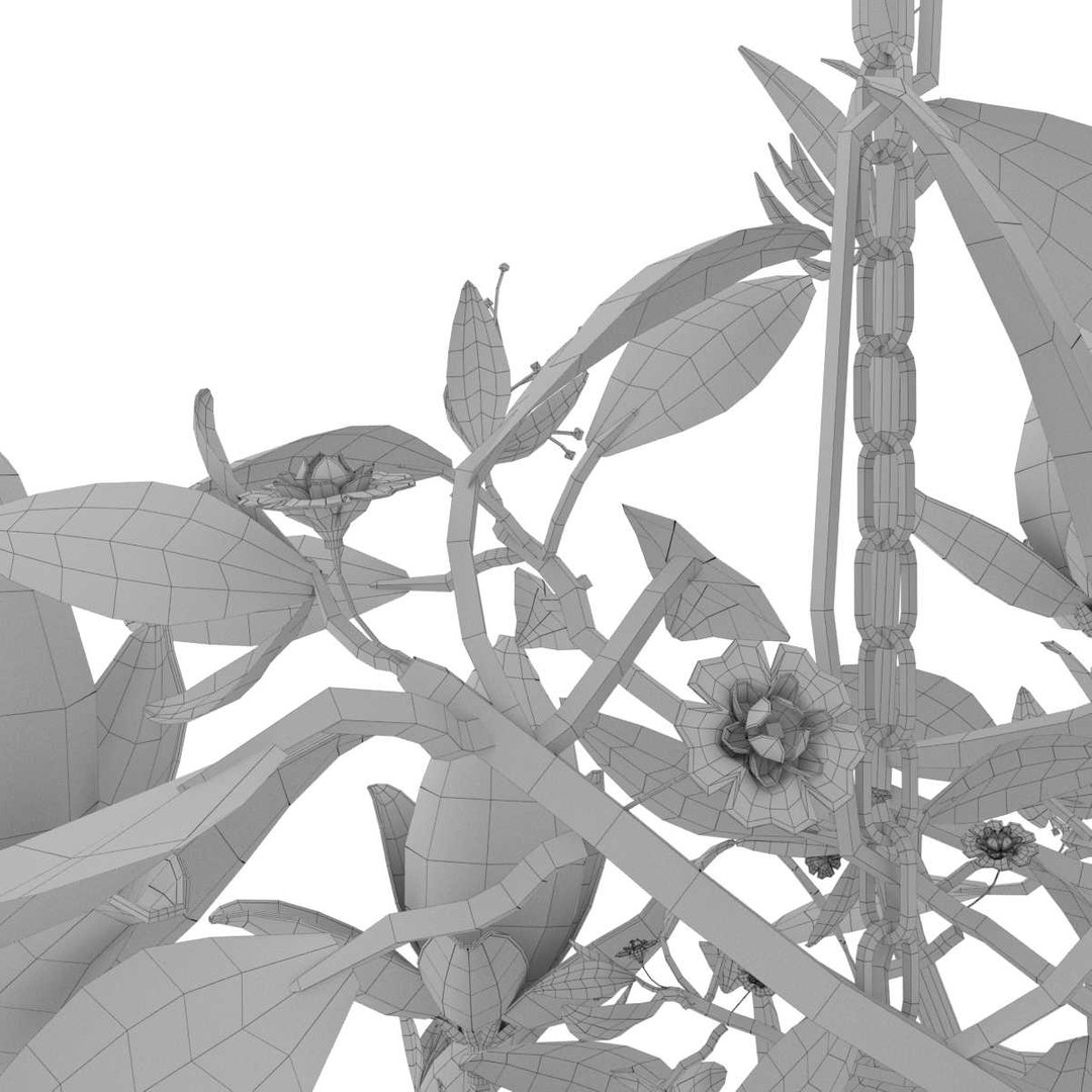 chandelier magnolia cox london 3D model https://p.turbosquid.com/ts-thumb/MN/JcPYii/rUrWdA1j/12/jpg/1597945837/1920x1080/fit_q87/3d60c104fb6597f3d06a4c48c97bc36fd451b981/12.jpg