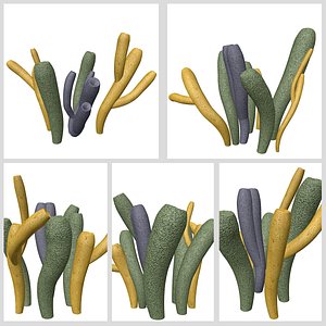 Tube Sponge Plant Collection 3D