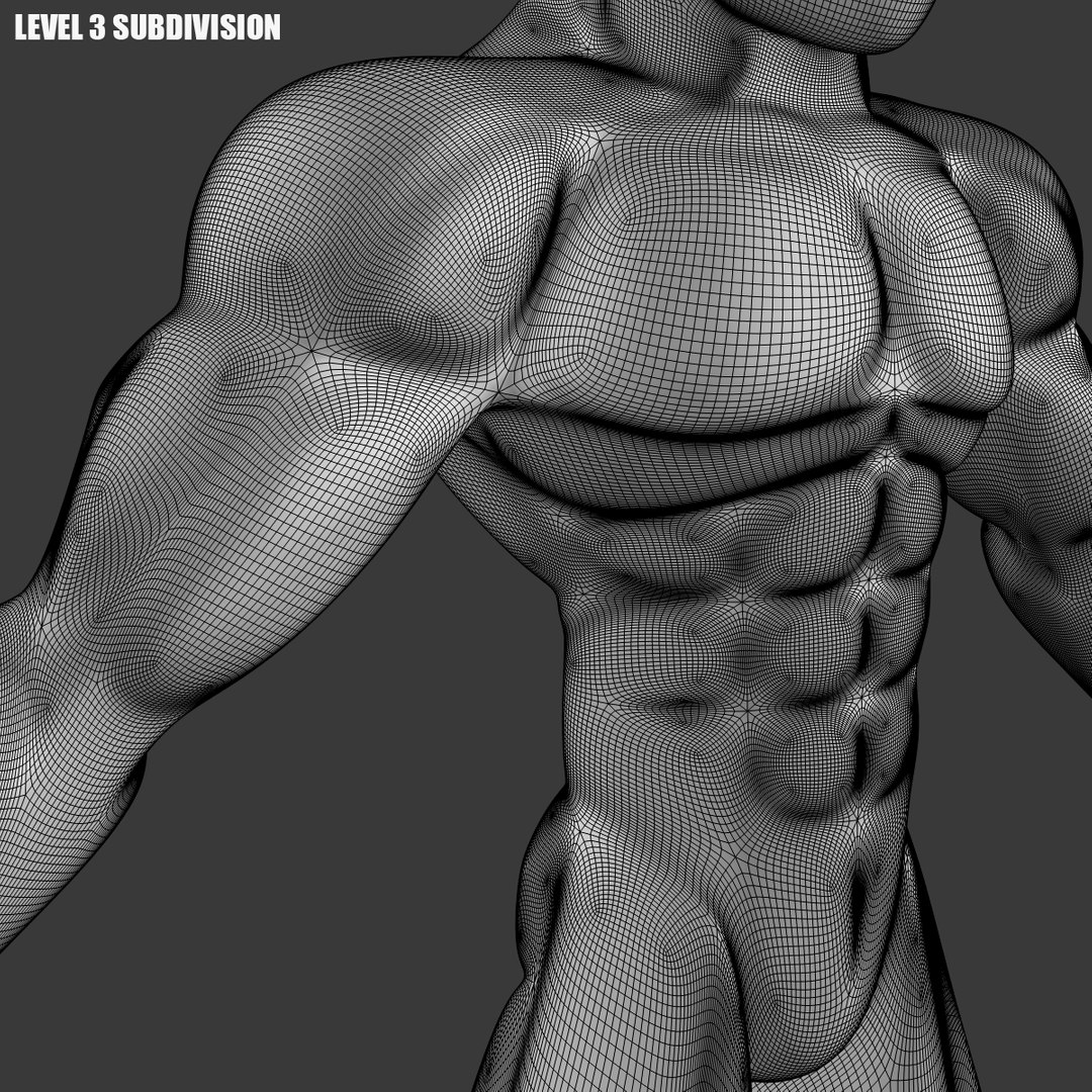 3D base mesh muscular male model https://p.turbosquid.com/ts-thumb/MN/Qz1LFP/QgsZjbJr/level_3_sub_wireframe_sample_1200x1200_thumb/png/1501415218/1920x1080/fit_q87/1b0a2412eb170a9bee2819ace0b557ee383ebb8b/level_3_sub_wireframe_sample_1200x1200_thumb.jpg