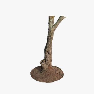 3D model Anydrafts Ulmus americana Trunk 01