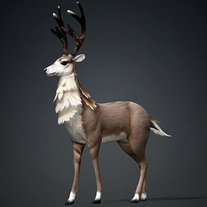 3D Moose-A2
