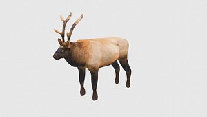 Low Poly Moose Rigged With Realistic Texture model