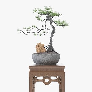 Bonsai Tree on Wooden Stand 3D model