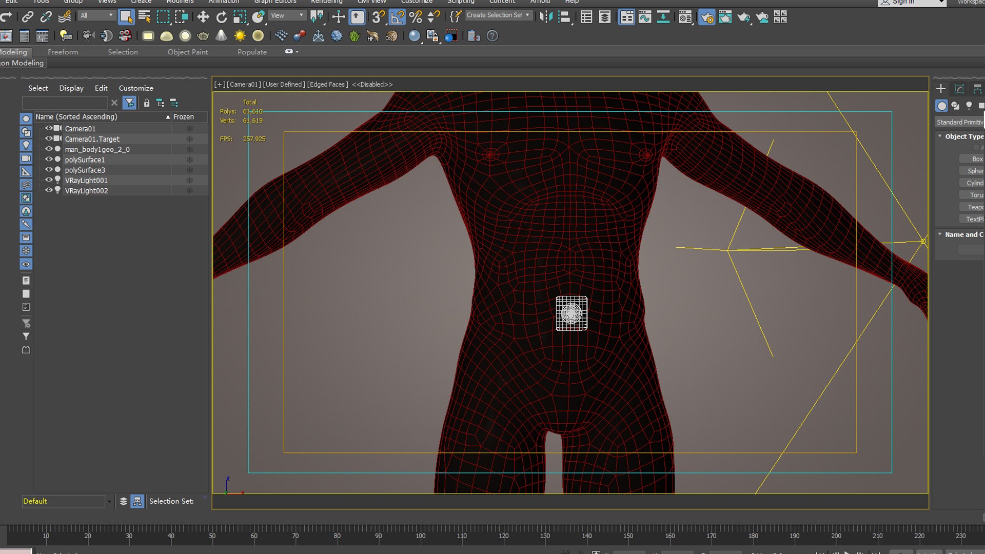 Stomach Patch Magnetic Patch Animation Dissection Medical Model ...