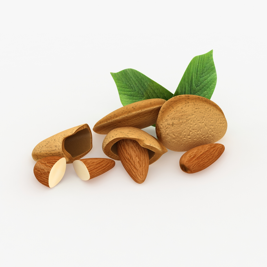 3dsmax Realistic Almond