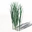 XfrogPlants Oats