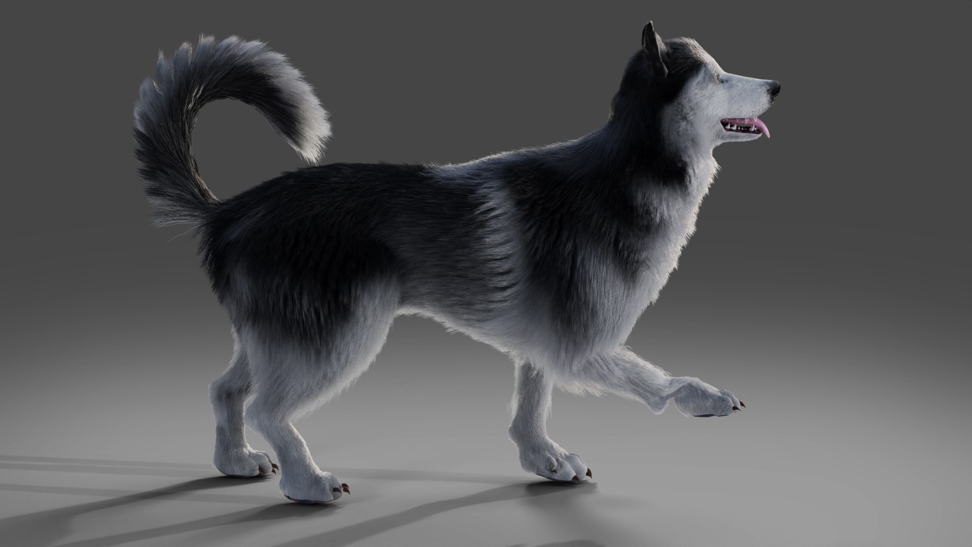 Fur Husky Rigged in Blender 3D - TurboSquid 1984651