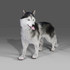 Fur Wolf Rigged in Blender
