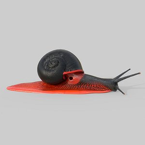 Fire Snail
