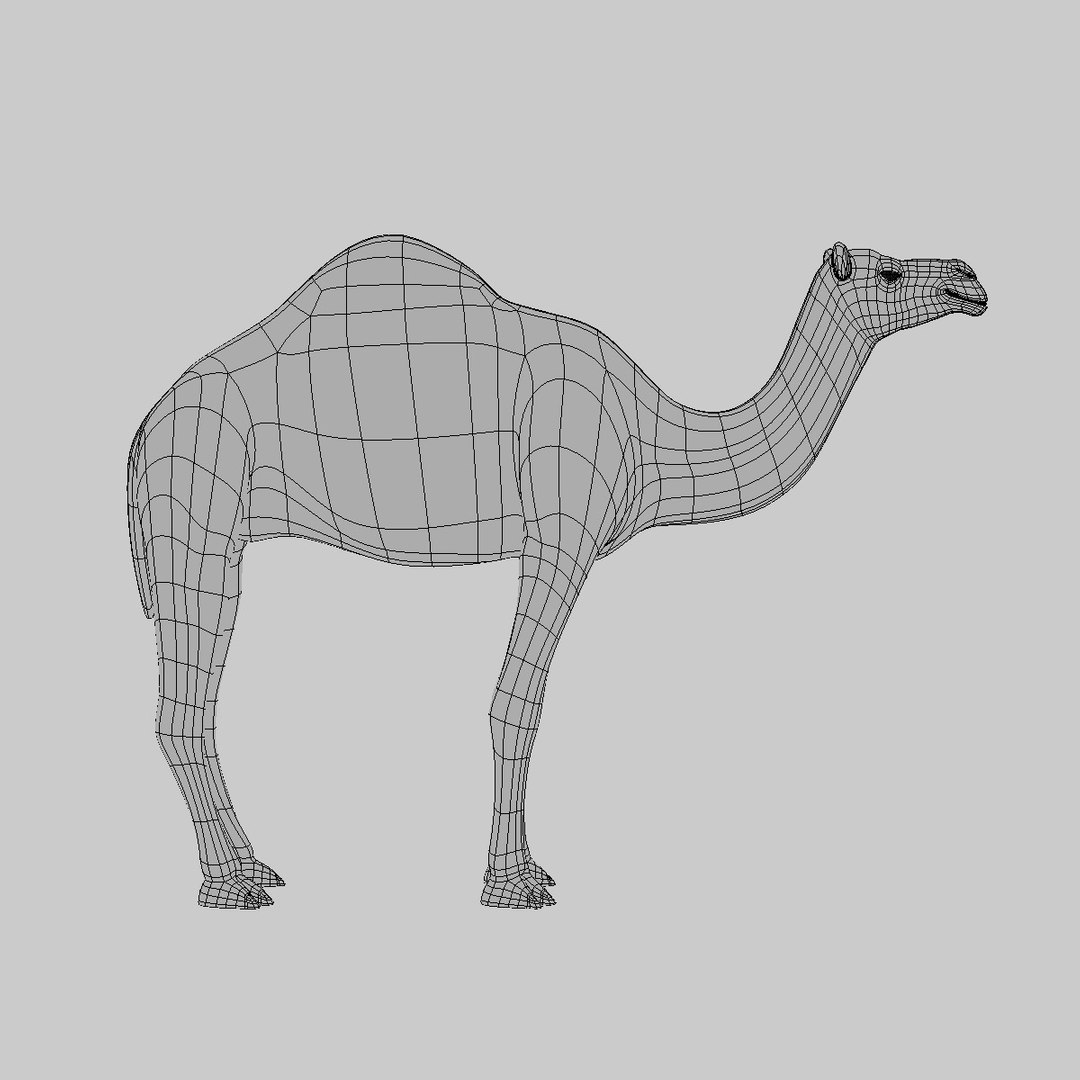 camel dromedary obj https://p.turbosquid.com/ts-thumb/MO/jdNfhX/SIHlOLRx/hd8/jpg/1302251129/1920x1080/fit_q87/cbfaca075b674d0b05d794cade44944d94efeca9/hd8.jpg